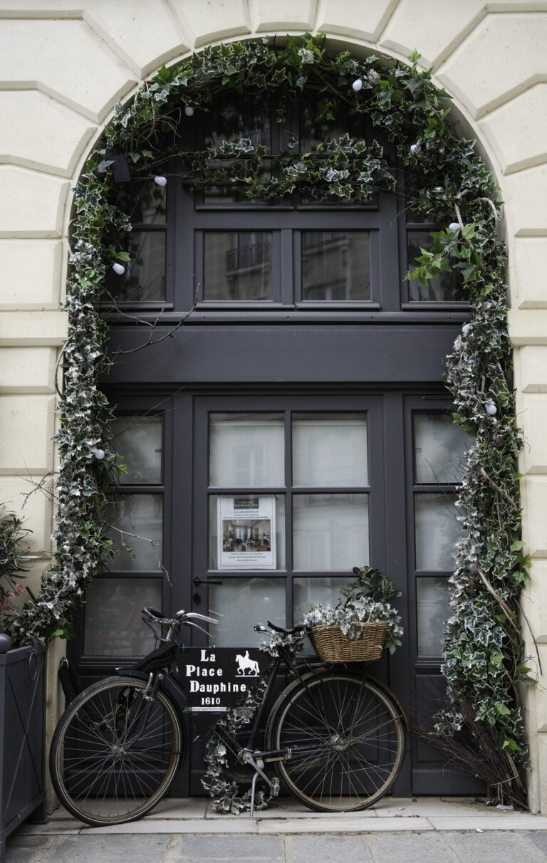 Fahrrad vor einer dekorativen Tür in Paris